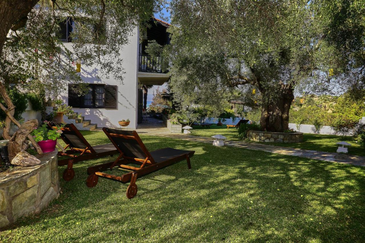 Villa The Cosy Olive Ormos Panagias Exterior photo